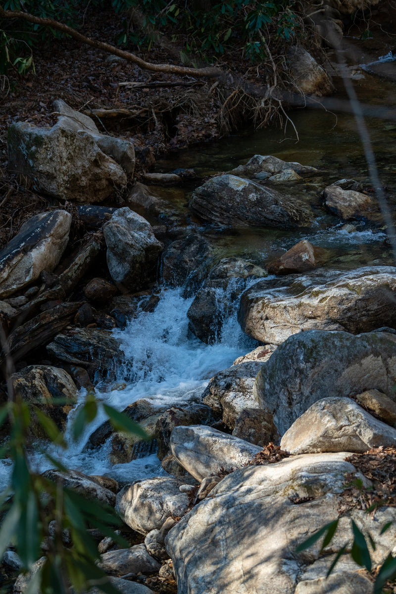 Brights Creek NC